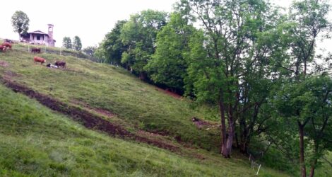 homechefstu1clienti.chefstudio.itpuntokasawp contentuploads20241120210610 225452.jpg