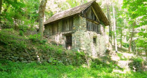 homechefstu1clienti.chefstudio.itpuntokasawp contentuploads202411DSCN5725.jpg